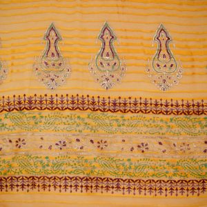 Finished Sari and Blouse - Image 3