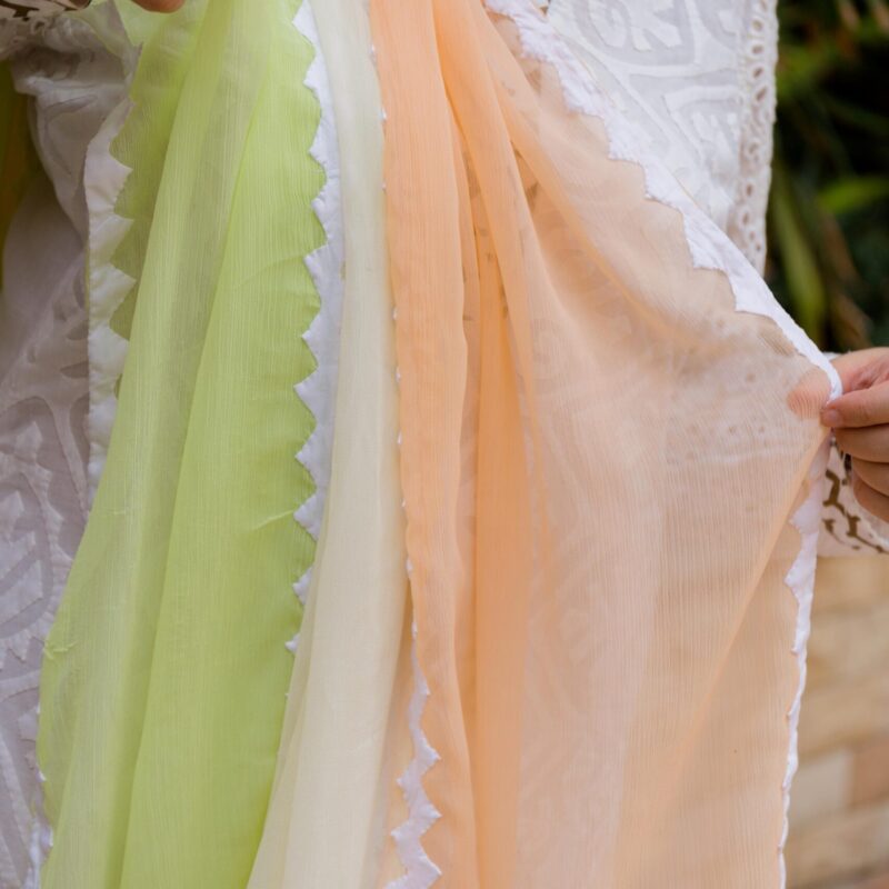 Multicolored Chiffon Dupatta with Rilli